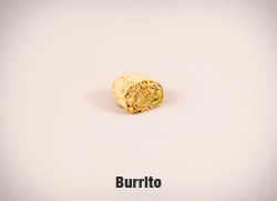 5759-Burrito-cropped-full-res copy